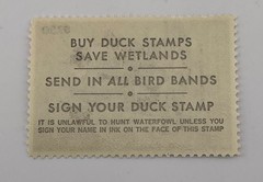 1983 US Federal Scott #RW50 Pintails MNH