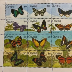 World Butterfly Stamps Guyana 1990 Butterflies Unused 16 Full Sheets