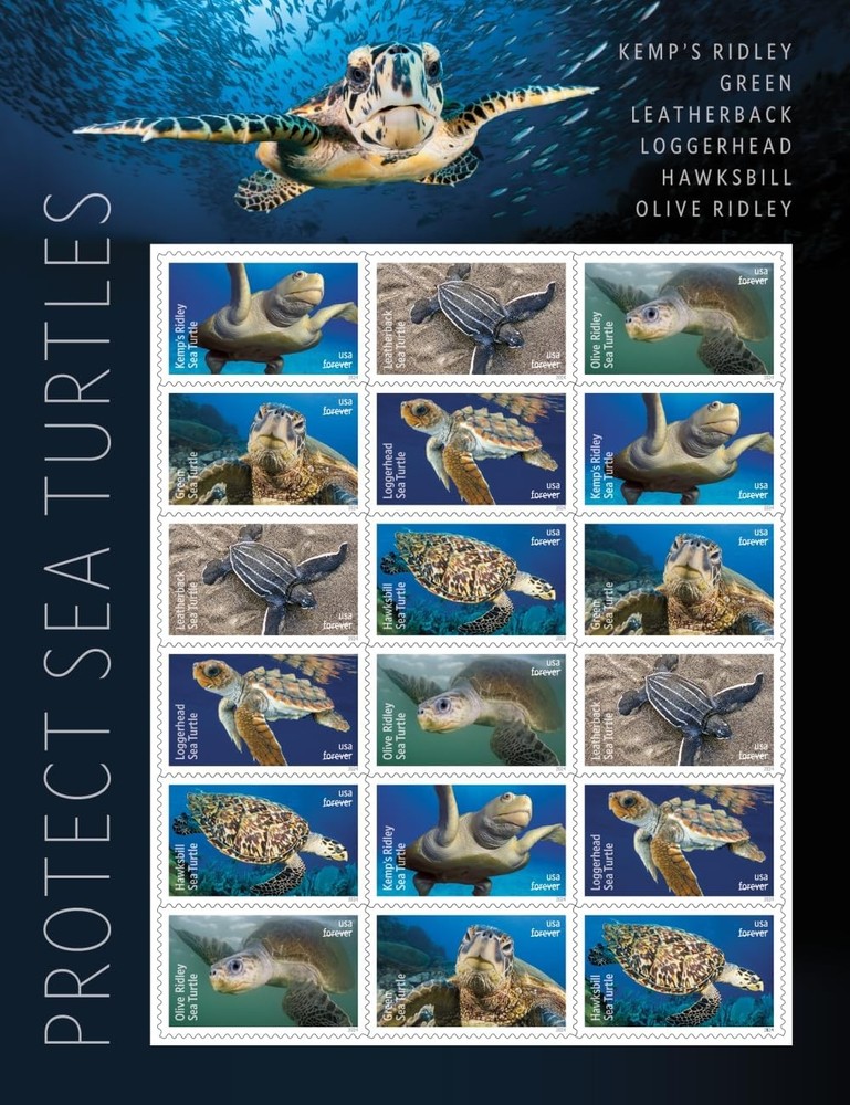 USPS Protect Sea Turtles 2024 First-Class Mail Forever Postage Stamps – 1 Sheet