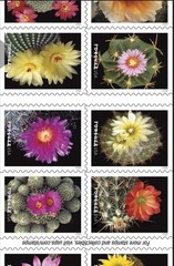2019 USPS CACTUS FLOWERS BOOKLET OF 20 FIRST CLASS LETTER STAMPS 78 cents