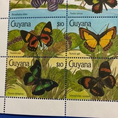 World Butterfly Stamps Guyana 1990 Butterflies Unused 16 Full Sheets