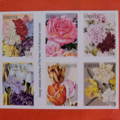 20 Botanical Art Scott #5042-5051 Beautiful Flower Bloom USPS Forever Stamps