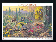 United States 33¢ Sonoran Desert Postage Stamps #3293 MNH Full Sheet