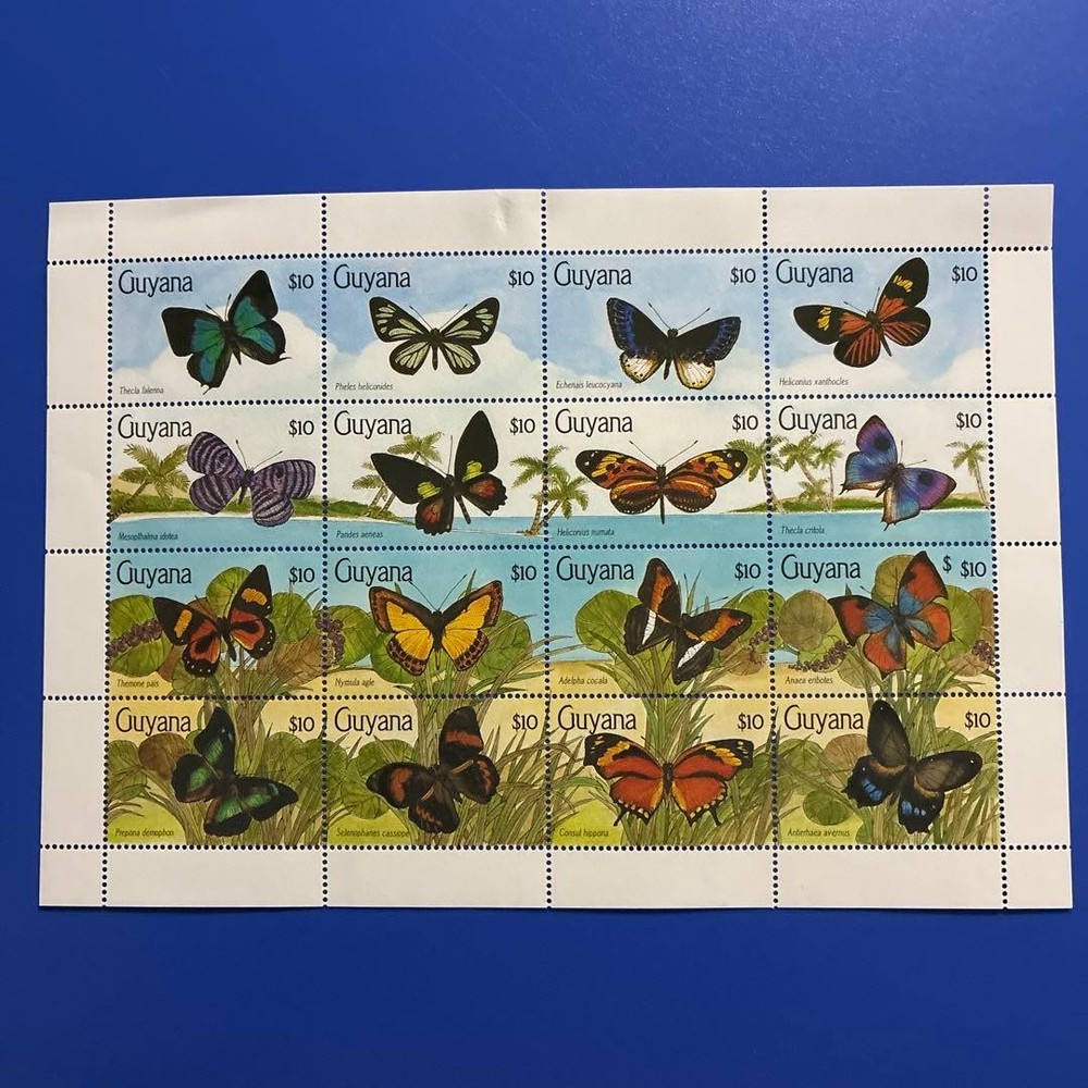 World Butterfly Stamps Guyana 1990 Butterflies Unused 16 Full Sheets