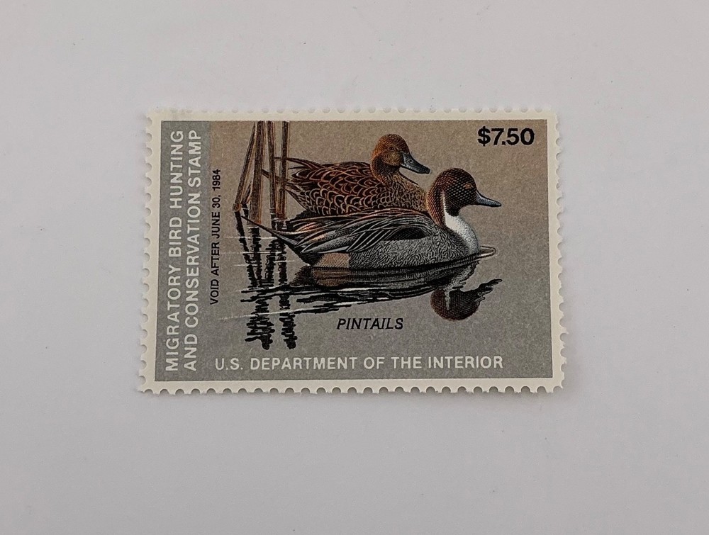 1983 US Federal Scott #RW50 Pintails MNH