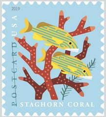 2019 USPS SHEET OF 20 POSTCARD STAMPS CORAL REEFS 61¢ FOREVER