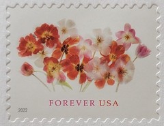 Lot of 10 Stamped Envelopes #10 (4⅛x9½) White Gummed with Forever Tulips #5681
