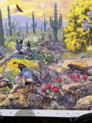 US POSTAGE STAMPS FIRST IN A SERIES «SONORAN DESERT» SHEET OF 10 .33 CENT