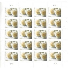 US SCOTT 4520 PANE OF 20 WEDDING ROSE STAMPS FOREVER MNH
