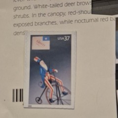 Uncle Sam Bicycle 37 Cent USA Postage Stamp United States Blue Red White