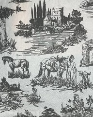 Two Individual paper Luncheon Decoupage Napkin Black Toile French Countryside