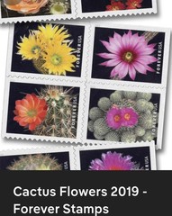 2019 USPS CACTUS FLOWERS BOOKLET OF 20 FIRST CLASS LETTER STAMPS 78 cents