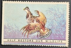 Vintage Help Restore Our Wildlife Grouse Bird Poster Stamp