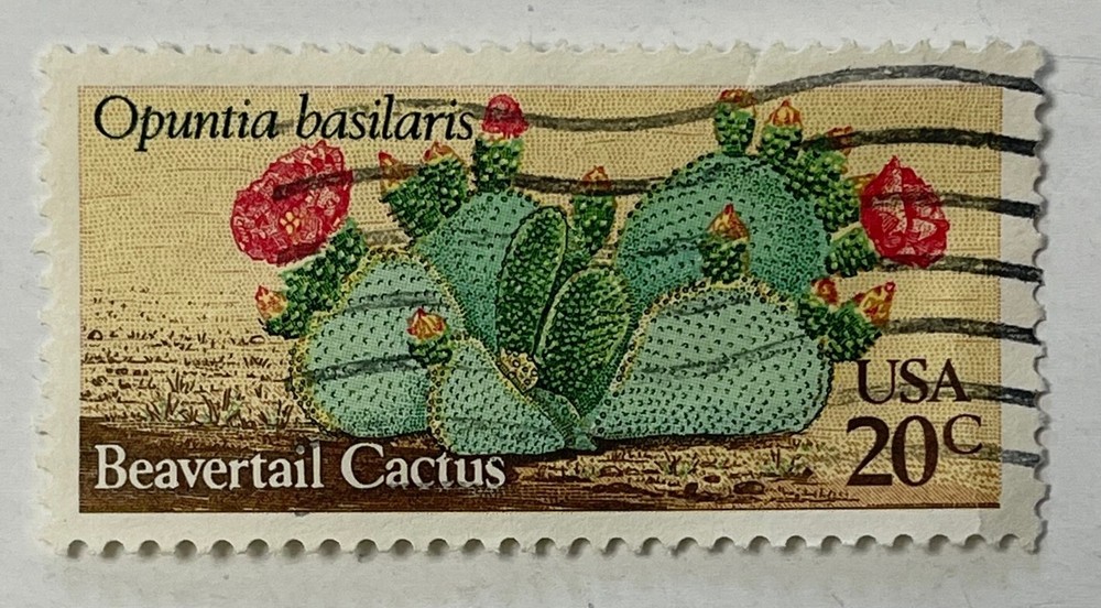 United States USA Postage Stamp 20 Cents Beavertail Cactus Canceled