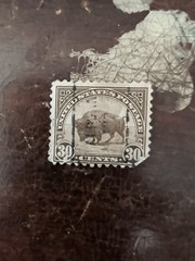 US Scott #700 American Buffalo 30c Olive Brown 1931 Used Stamp Vintage