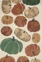 Three Individual Dinner Decoupage Napkins/autumn/Halloween/pumpkins/fall/