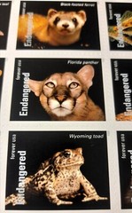 (5) USPS Endangered Species Sheet of 20 Forever Stamps 100 Stamps Value 78.00