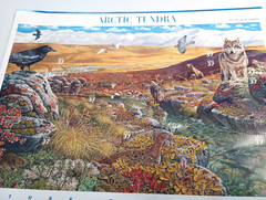 US Stamp Sheet Artic Tundra Nature of America 10 Stamps 37 cents