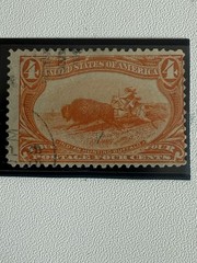 US Stamp Used, Scott #287 1898 Orange Indian Hunting Buffalo 4 Cents