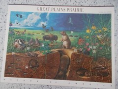 #3506 GREAT PLAINS PRAIRIE 3rd In A Series 25 34 CENT STAMPS 2000 MNH