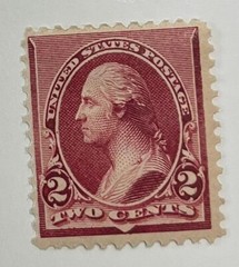 US Postage Scott 219D mint, 2cent Washington, lake, bright color hinge remnant