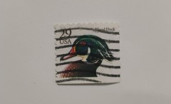 USA Wood Duck 29 Cents Stamp – #S41487NQ