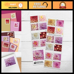 Dahlia Forever Postage Stamps – 2025 Edition, 2 Books of 20, First-Class Mail