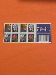 USPS Forever Stamps – Winter Flowers (2014) Single Stamp Random MNH