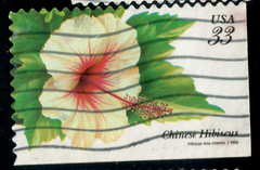 USA – 1999 – Tropical Plants – Hibiscus rosa-sinensis – 33¢ – #3824