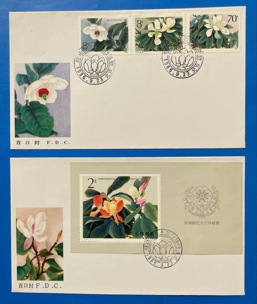First Day Cover: T111 Magnolia (1 stamp + 1 miniature sheet)