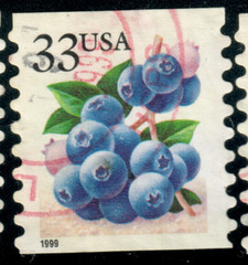 USA – 1999 – Fruits – Booklet Stamps – Blueberries – 33¢ – #3831