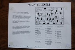 3293 SONORAN DESERT 33 CENT MNH stamps in 6.5 x 10 sheet 1ST in Series