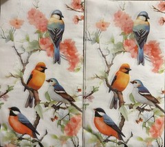 Two Individual dinner Decoupage Napkins Spring Floral Bullfinches Birds In Tree