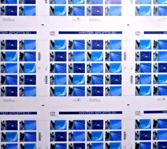US 3552-55 WINTER OYLMPIC UNCUT PRESS SHEET 9 PANES PROFESSIONALLY SHRINK WRAP