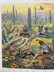USA 33 Cent Nature of America: Sonoran Desert Postage Stamps, Full Sheet of 25