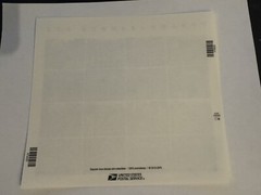 USPS New Tyrannosaurus Rex Pane Sheet 16 Forever Stamps T-Rex Trex Dinosaur 🦖