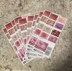 Lot Of 10 Booklets USPS Forever Stamps – Dahlia’s (2024) 200 Stamps MNH🔥🔥