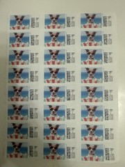 Discount Colorful Stamps 16 Sheets Total 24 Stamps Per- Sheet. Fast Shipping.