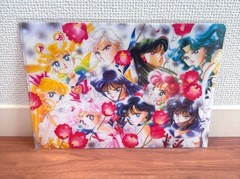 Rare ♡ Pretty Soldier Sailor Moon Clear File Postal Stamp Fan Club Original
