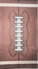Two Individual paper dinner Decoupage Napkins Football Brown Rugby Sports 2-ply
