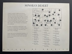 USA 33 Cent Nature of America: Sonoran Desert Postage Stamps, Full Sheet of 25