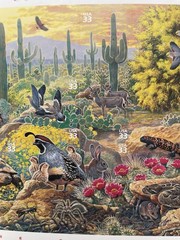 USA 33 Cent Nature of America: Sonoran Desert Postage Stamps, Full Sheet of 25