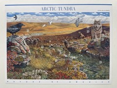 USA 34 Cent Nature of America: Arctic Tundra Postage Stamps, Sheet of 24