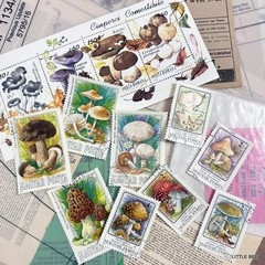 719・R-2085 1994 Romania Mushroom Stamp Sheet + Hungary Mushroom 9 stamps Stamp