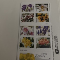 20 FOREVER STAMPS-SNOWY BEAUTY