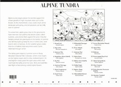 USA 2007 ALPINE TUNDRA 10 STAMP SHEET 9th IN S SERIES SCOTT 4198 MNH