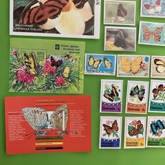785 World Butterflies Unused Stamp