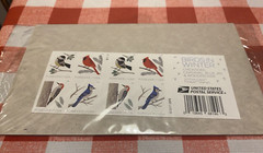 20 Birds In Winter Forever Stamps ~ In Original Sealed Plastic from USPS in 2018
