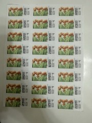 Discount Colorful Stamps 10 Sheets Each Fast Shipping. 24 Stamps Per Sheet.