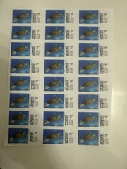 Discount Colorful Stamps 16 Sheets Total 24 Stamps Per- Sheet. Fast Shipping.